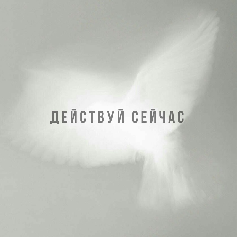 Действуй сейчас